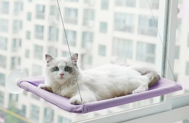 Pet Window Hammock - MegaEssentials