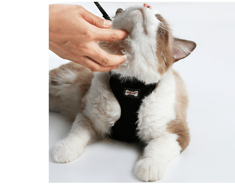 Anti-skidding cat harness - MegaEssentials
