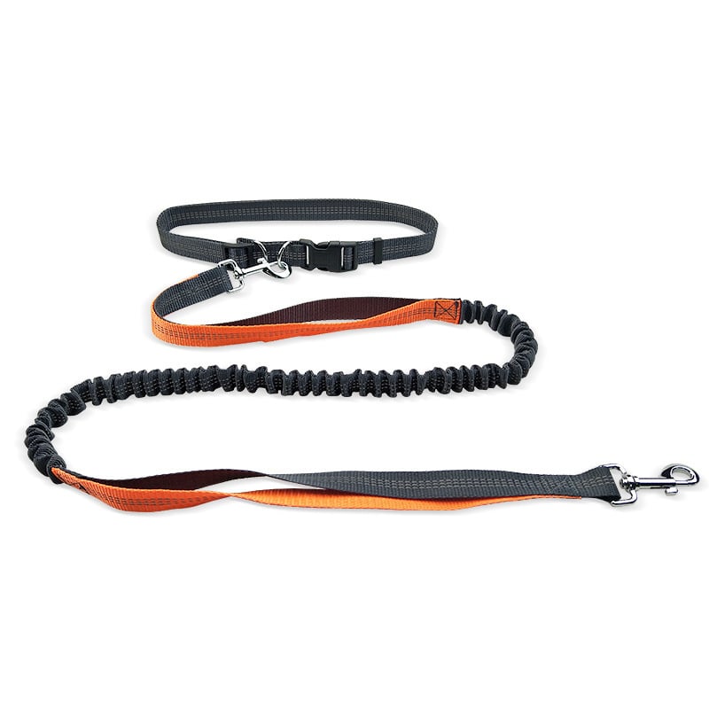 Dog Walking Belt with Detachable Shockproof Leash - MegaEssentials