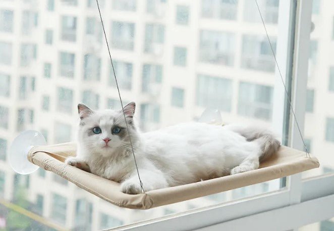 Pet Window Hammock - MegaEssentials