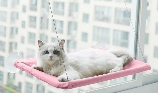 Pet Window Hammock - MegaEssentials