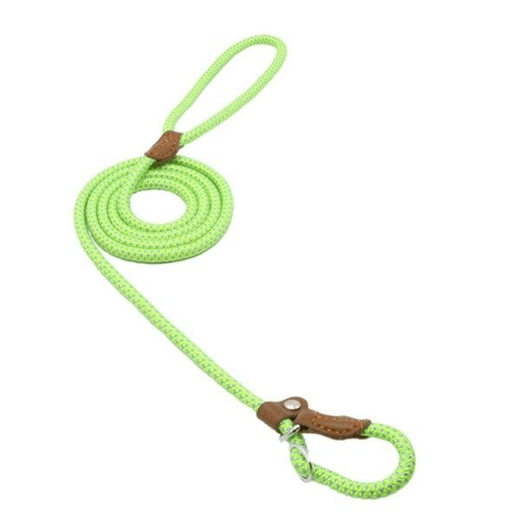 Nylon Pup Set - MegaEssentials