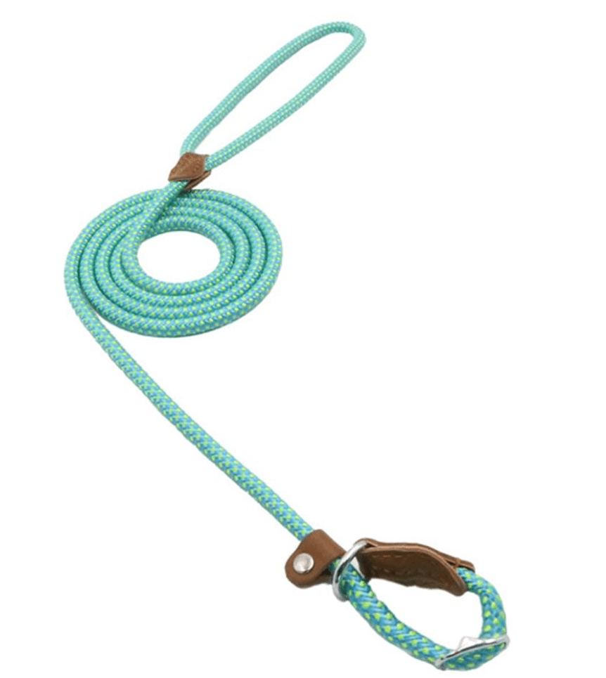 Nylon Pup Set - MegaEssentials