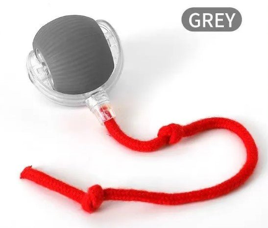 Speedy Tail Pet Toy Ball - MegaEssentials