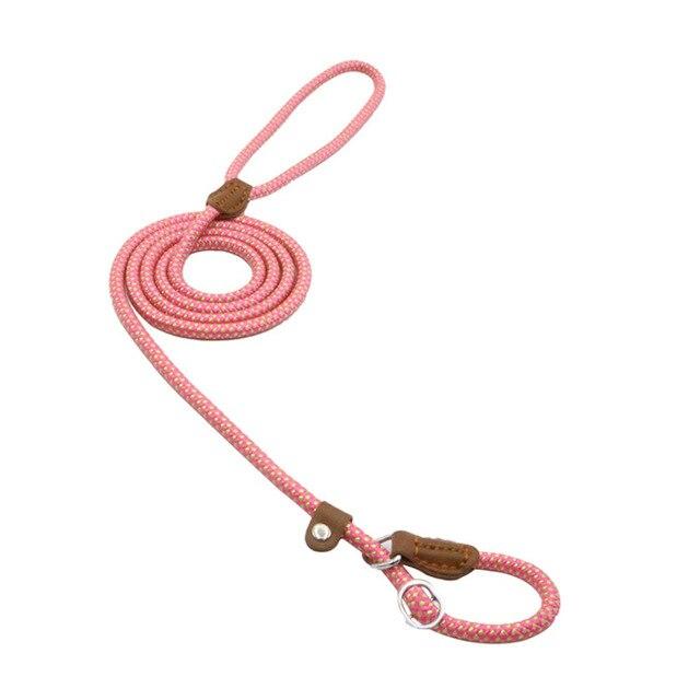 Nylon Pup Set - MegaEssentials