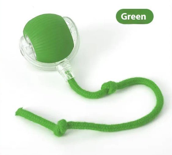 Speedy Tail Pet Toy Ball - MegaEssentials