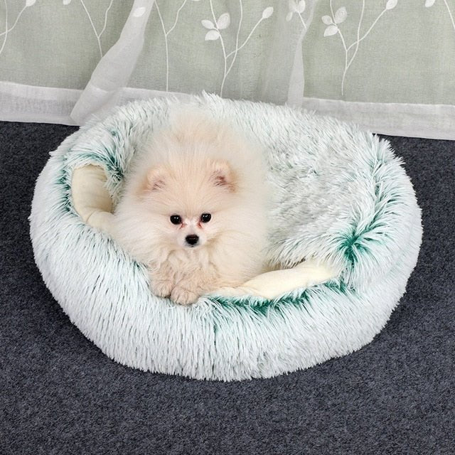 2-in1 Pet Bed - MegaEssentials