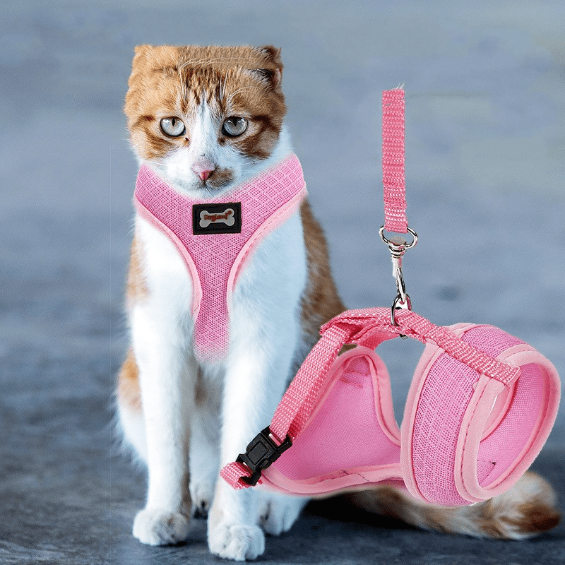 Anti-skidding cat harness - MegaEssentials