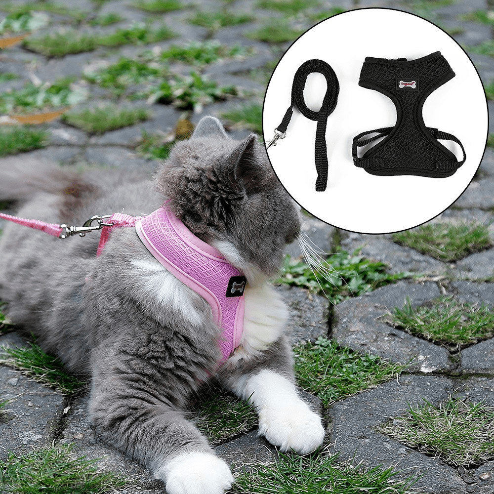Anti-skidding cat harness - MegaEssentials