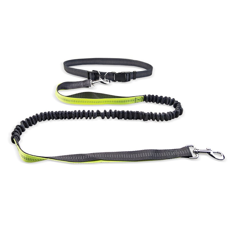 Dog Walking Belt with Detachable Shockproof Leash - MegaEssentials