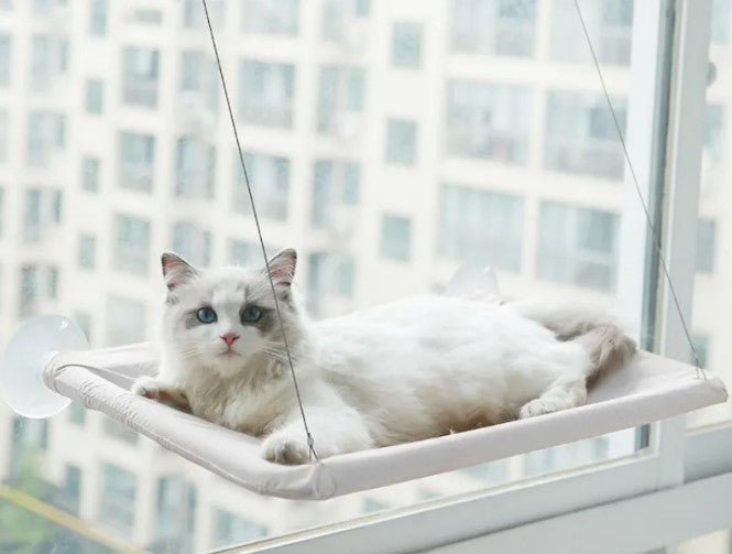 Pet Window Hammock - MegaEssentials
