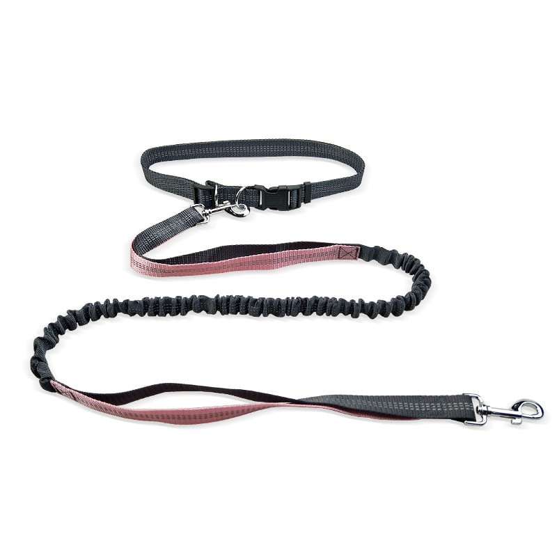 Dog Walking Belt with Detachable Shockproof Leash - MegaEssentials