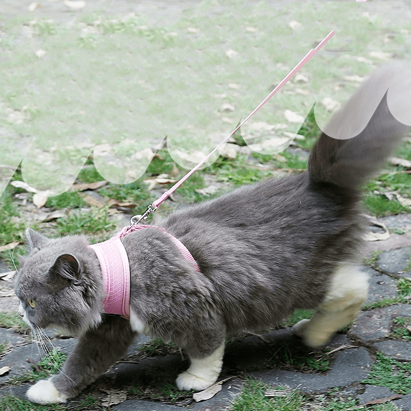 Anti-skidding cat harness - MegaEssentials