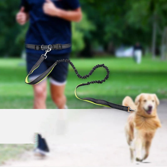 Dog Walking Belt with Detachable Shockproof Leash - MegaEssentials