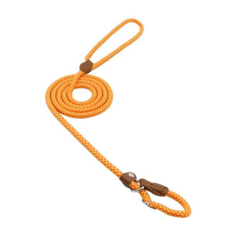 Nylon Pup Set - MegaEssentials