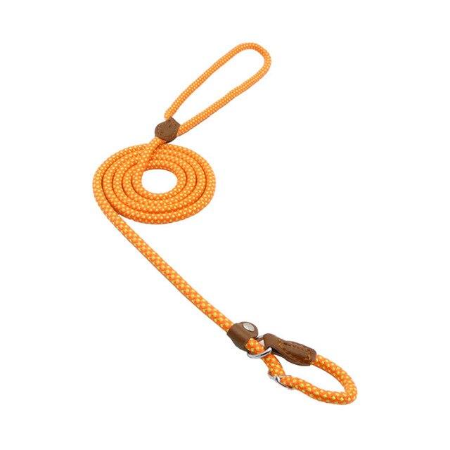Nylon Pup Set - MegaEssentials