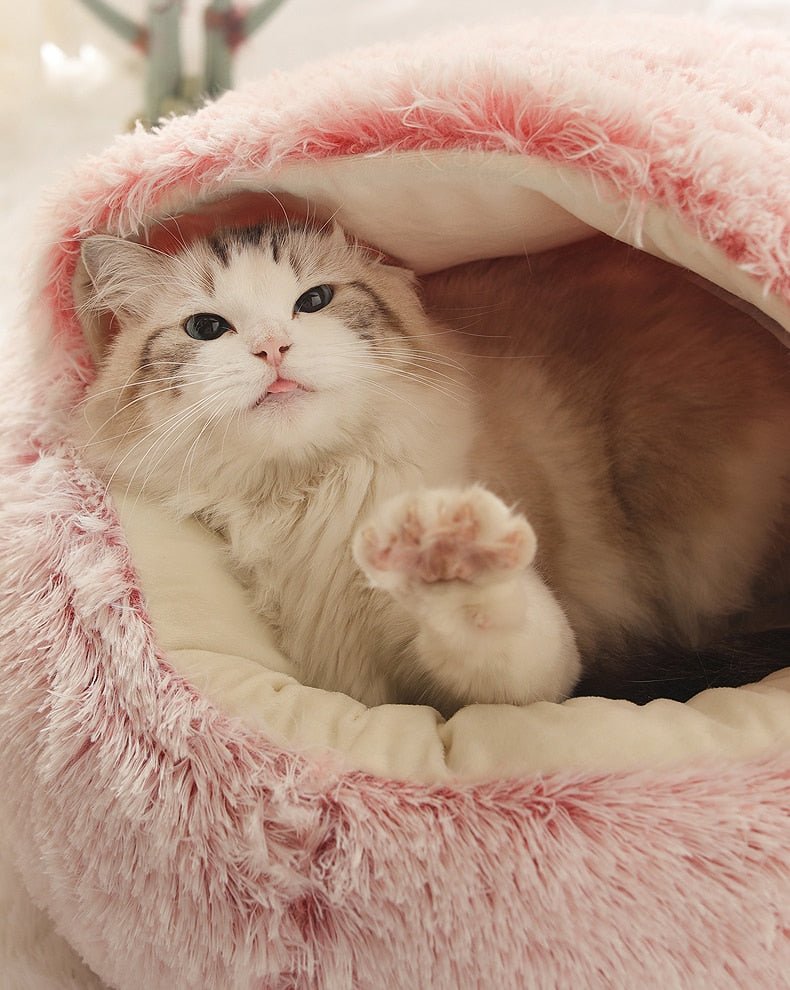 2-in1 Pet Bed - MegaEssentials