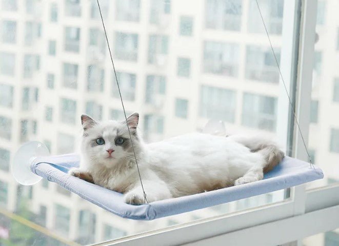 Pet Window Hammock - MegaEssentials
