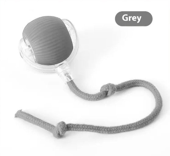 Speedy Tail Pet Toy Ball - MegaEssentials