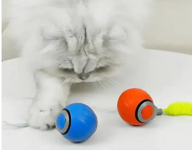 Speedy Tail Pet Toy Ball - MegaEssentials