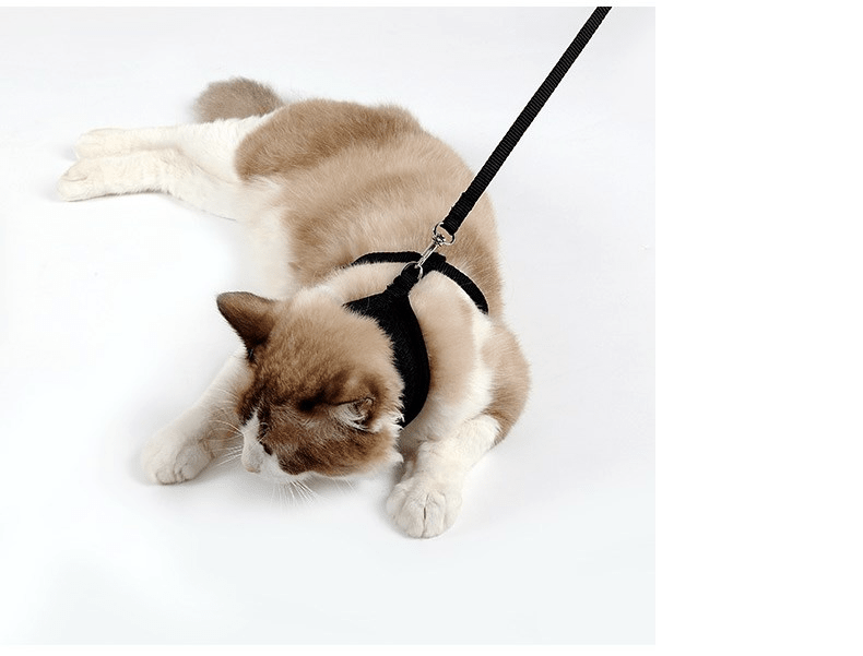 Anti-skidding cat harness - MegaEssentials