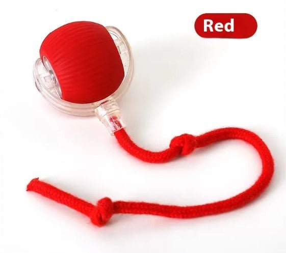 Speedy Tail Pet Toy Ball - MegaEssentials