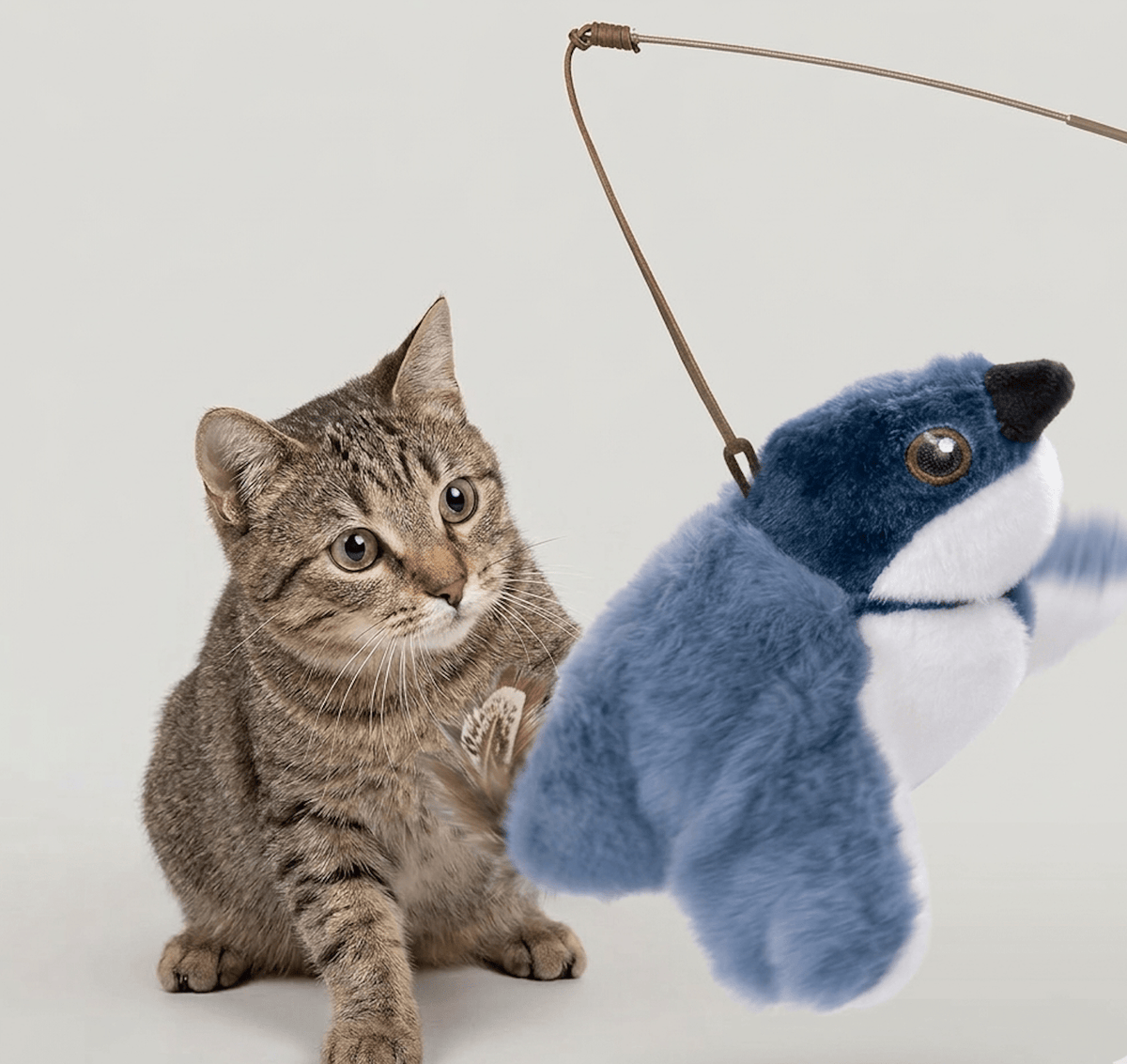 Flapping Bird Cat Toy - MegaEssentials