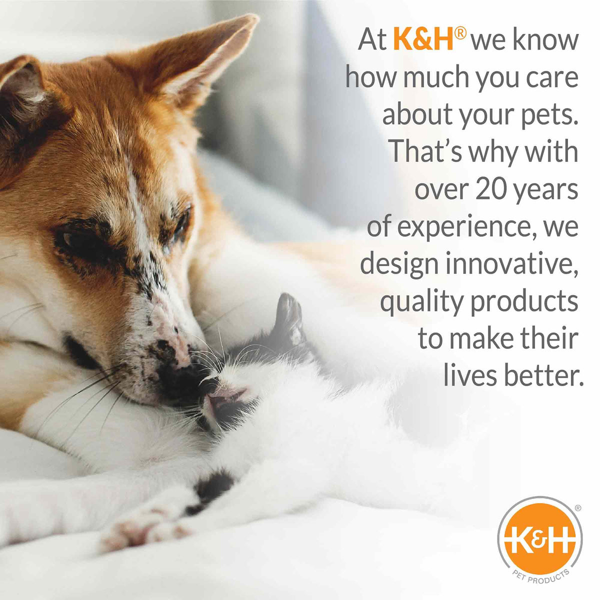 K&H Pet Products Original Bolster Pet Cot Elevated Pet Bed - MegaEssentials